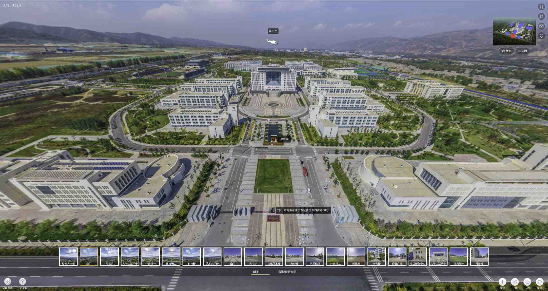 阳东油菜花-惊艳半生的花海仙境